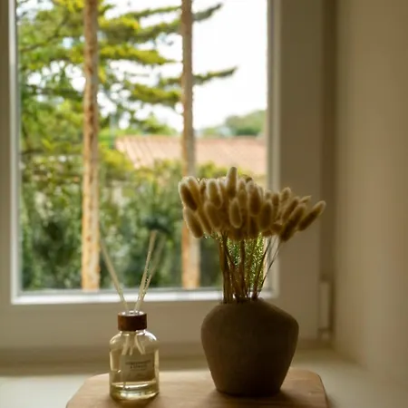 Lisael Et Le 1808 Proches Puy Dufou Mauleon